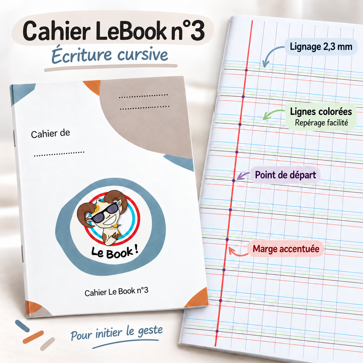 Cahier n°3 spécial DYS