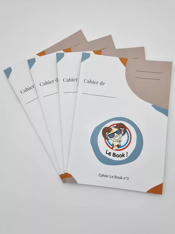 lot de 4 cahiers pour écriture cursive sur lignes de couleurs